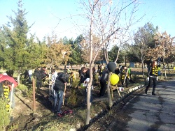 аллея билайн