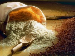 1f8cd411d441cb2b7110a3bdcff5fe0f