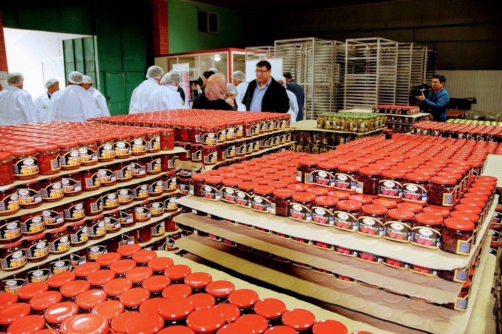 Largest fruit and vegetable processing facility opens in Jalal-Abad region DSC_0482