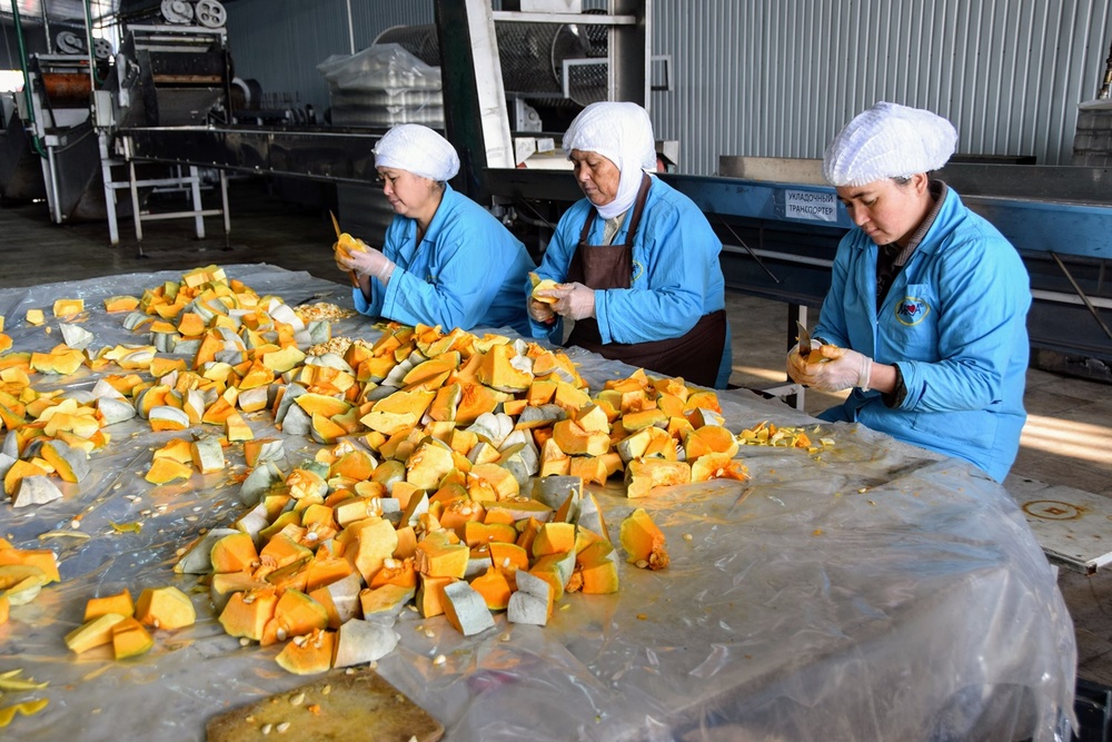 Largest fruit and vegetable processing facility opens in Jalal-Abad region DSC_0403
