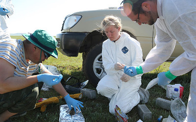 looking for pathogens