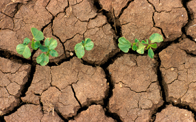 climate change-drought