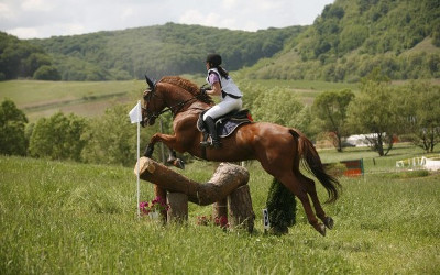 Transylvania Horse Show