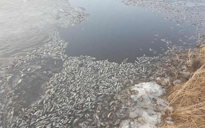 FOREIGN201604220410000350114804709