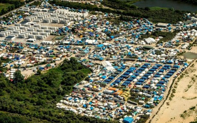 _91001279_jungle_getty