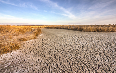 california-drought