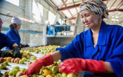 8605-workers-apple-factory-near-almaty-2jpg-appr