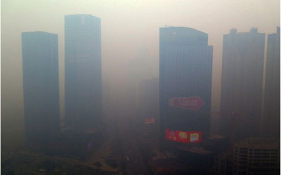 _86601152_030039429-1