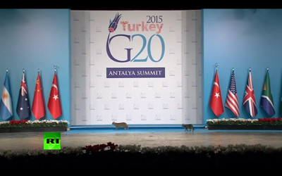 CT6PimuUAAAOeXV.jpg:large