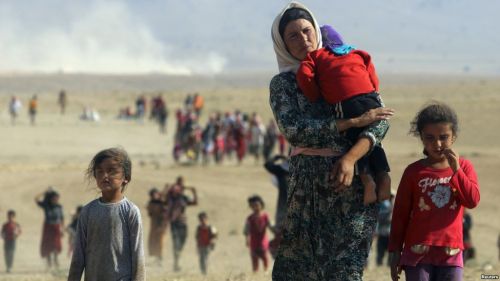 c3777e7f7736c990f9c2095202e41421_500_0_0