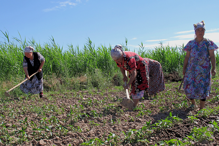 Photo: ©World Bank 2