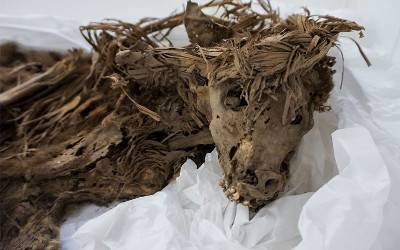 cc_top_DSC01113_16x9