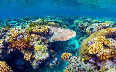 Great Barrier Reef