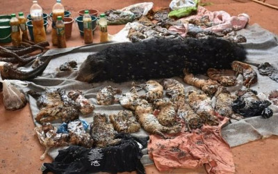 _89850455_f944a335-a808-4fbc-b318-f249dcc1625d