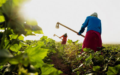 Tajik farmer-agriculture