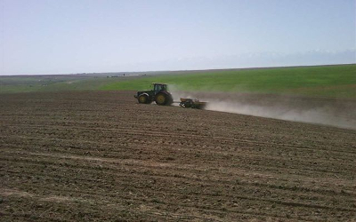 sowing