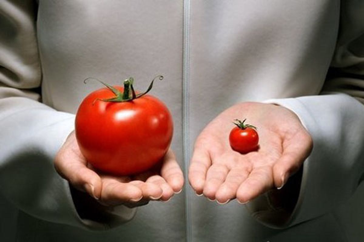 агрономы против