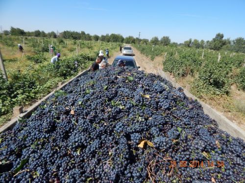 2015-06-15_10-57-33_189382