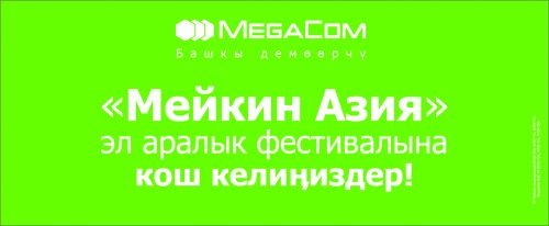 Мейкин_азия_2,60х6,30