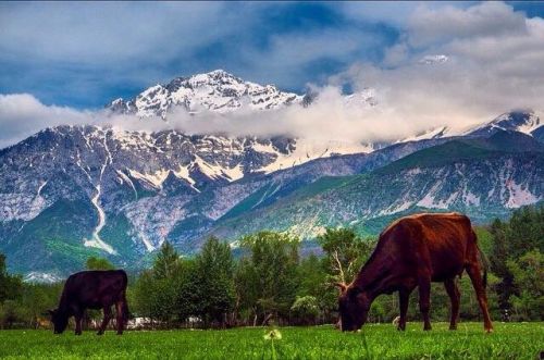 13275_821849717864408_4200435169509069064_n