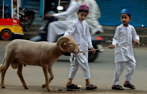 Muslims around the world celebrate Eid al-Adha holiday
