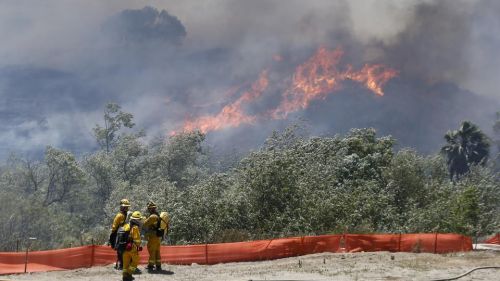 4101b9f607014d339b661b08b8555ff3