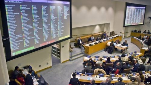 _79115976_024781844-1