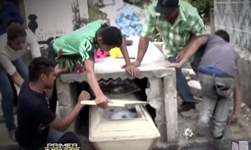 cae15fa6-2ac8-44c0-a462-8fe081658a5f-bestSizeAvailable