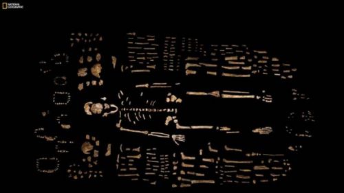 Human Ancestor_Cham640360