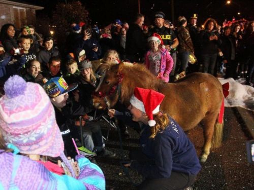 ht_xmas_04_lb_151027_4x3_992