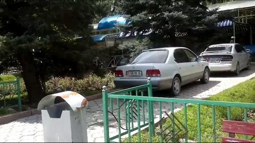 Снимок-1