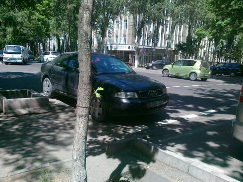 IMG-20140521-WA0019