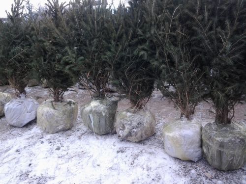 20131218_142615