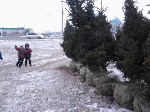 20131218_142607