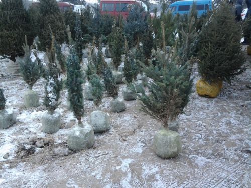 20131218_142541