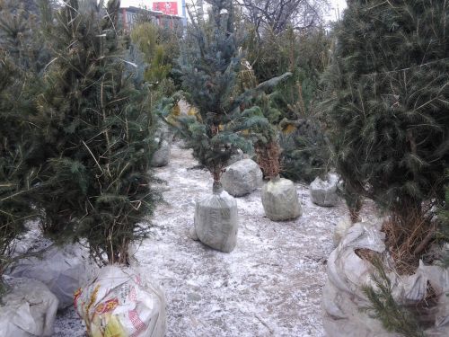 20131218_142625