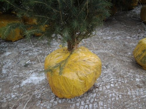 20131218_142441