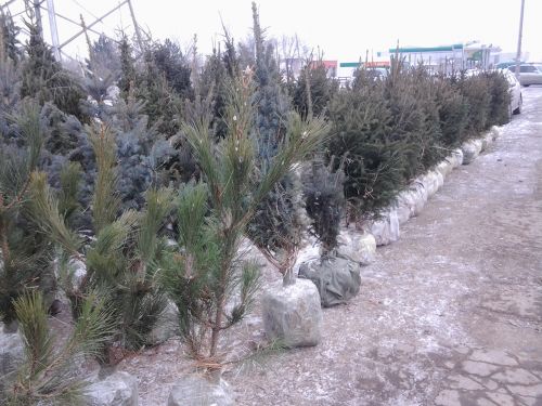 20131218_142348