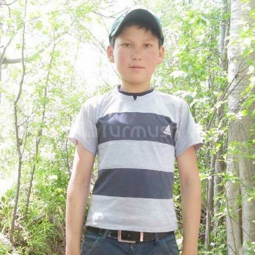 Погибший школьник