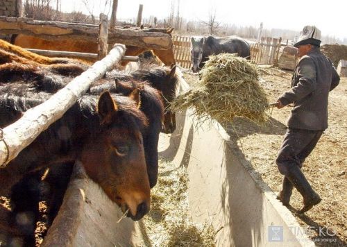 6b4894cc63e7bcda692299445ed69a9d