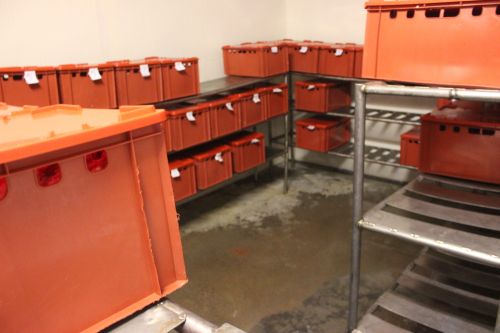 созревание