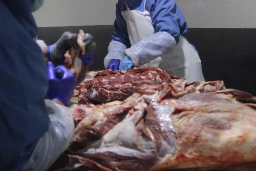 отделение от костей