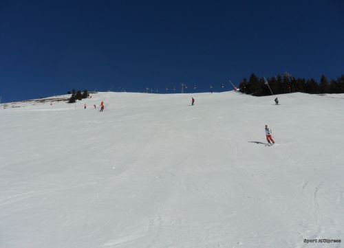 SAM_5496