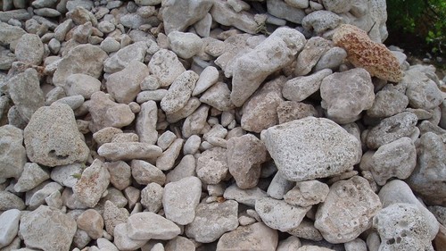 Госгеология