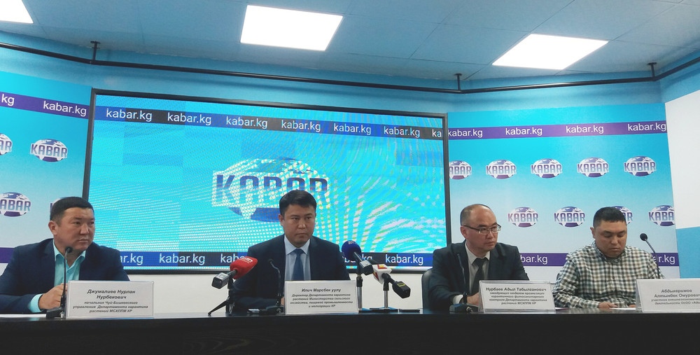 Пресс-конференция Департамента карантина растений Минсельхоза