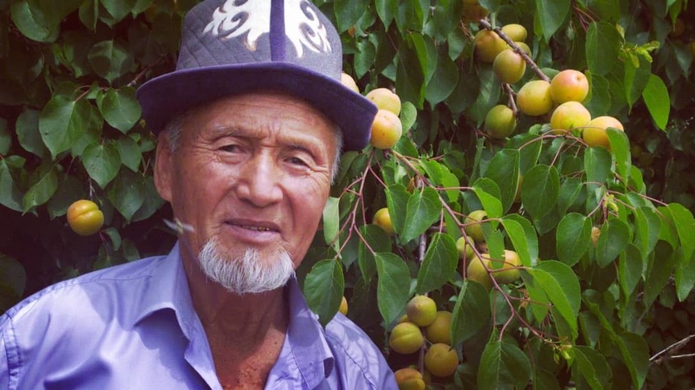 Мамасалы Курбаналиев