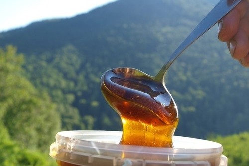 Страны-Импортеры