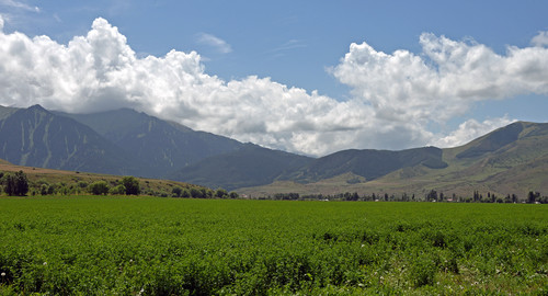 Обзоры Рынков