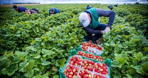 Кредитование