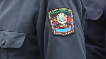 Иллюстрациялык сүрөт
